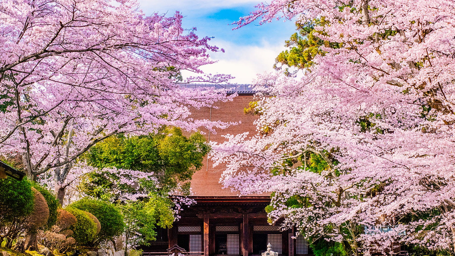 พระอุโบสถคองโด (Kondo)