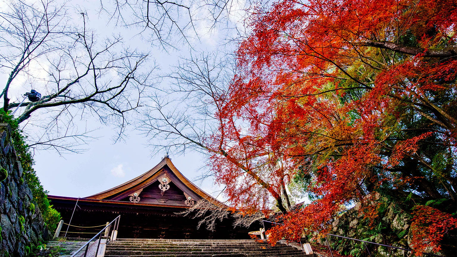 Kondo Haupthalle