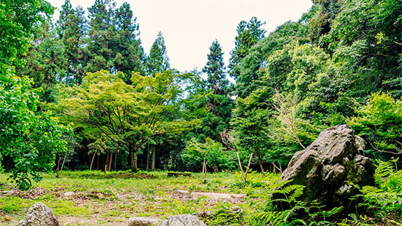 Jardín Zenpōin