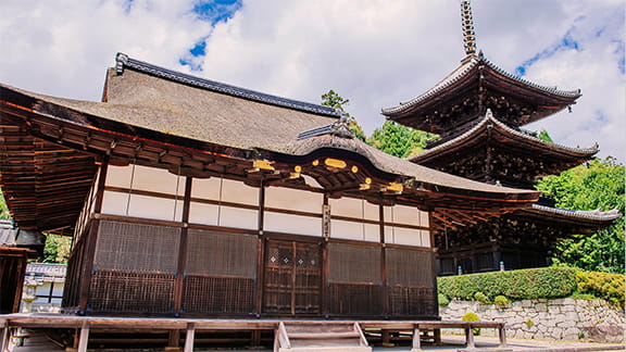 วิหารคันโจโด วัดโตอิน (Toin kanjo do)
