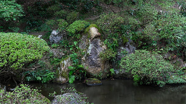 Cascade de type Karetaki, sans eau“